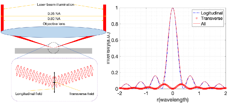 激光縱波加工:突破激光微納加工衍射極限的新原理(圖3) 聚焦產(chǎn)生縱波場.png
